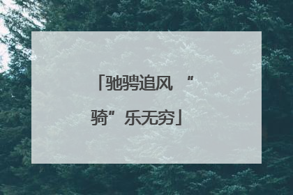 驰骋追风 “骑”乐无穷