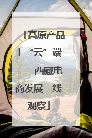 高原产品上“云”端——西藏电商发展一线观察