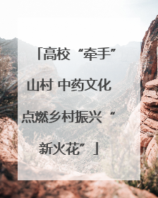 高校“牵手”山村 中药文化点燃乡村振兴“新火花”