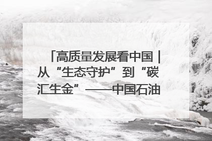 高质量发展看中国｜从“生态守护”到“碳汇生金”——中国石油大庆油田绿色蝶变