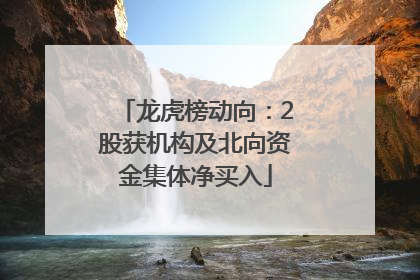 龙虎榜动向：2股获机构及北向资金集体净买入
