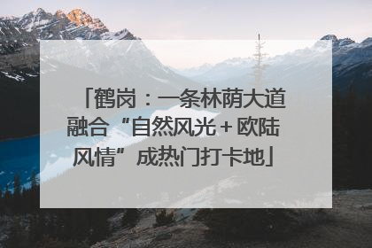 鹤岗：一条林荫大道融合“自然风光＋欧陆风情”成热门打卡地