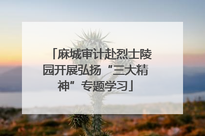 麻城审计赴烈士陵园开展弘扬“三大精神”专题学习