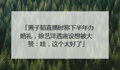 黄子韬直播时称下半年办婚礼，徐艺洋透露设想被大赞：哇，这个太好了