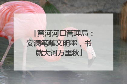 黄河河口管理局：安澜笔蘸文明墨，书就大河万里秋