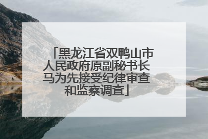 黑龙江省双鸭山市人民政府原副秘书长马为先接受纪律审查和监察调查