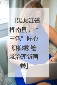 黑龙江省桦南县：“三色”匠心织锦绣 绘就治理新画卷