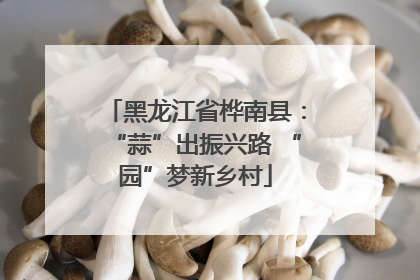 黑龙江省桦南县：“蒜”出振兴路 “园”梦新乡村