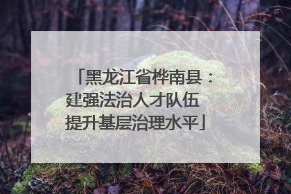 黑龙江省桦南县：建强法治人才队伍 提升基层治理水平