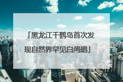 黑龙江千鹤岛首次发现自然界罕见白鸬鹚