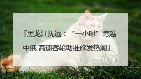 黑龙江抚远：“一小时”跨越中俄 高速客轮助推旅发热潮