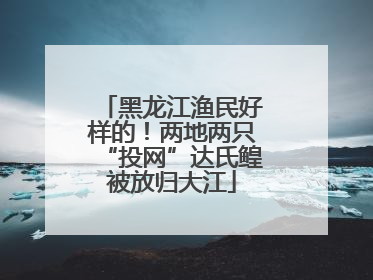 黑龙江渔民好样的！两地两只“投网”达氏鳇被放归大江