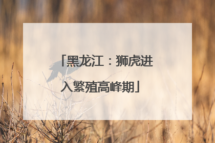 黑龙江：狮虎进入繁殖高峰期