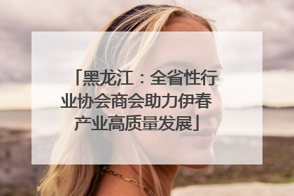 黑龙江：全省性行业协会商会助力伊春产业高质量发展