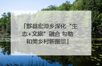 黟县宏潭乡深化“生态+文旅”融合 勾勒和美乡村新图景