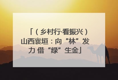 （乡村行·看振兴）山西襄垣：向“林”发力 借“绿”生金