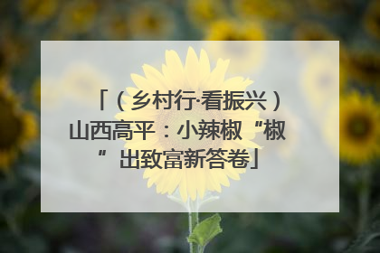 （乡村行·看振兴）山西高平：小辣椒“椒”出致富新答卷