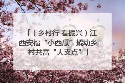 （乡村行·看振兴）江西安福“小西瓜”撬动乡村共富“大支点”