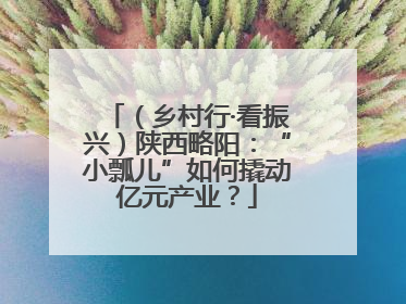 （乡村行·看振兴）陕西略阳：“小瓢儿”如何撬动亿元产业？