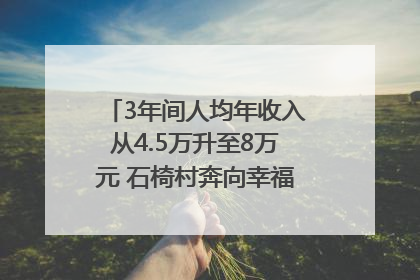 3年间人均年收入从4.5万升至8万元 石椅村奔向幸福好样子｜牵挂的村
