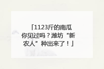 1123斤的南瓜你见过吗？潍坊“新农人”种出来了！