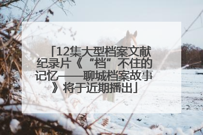12集大型档案文献纪录片《“档”不住的记忆——聊城档案故事》将于近期播出
