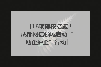 16项硬核措施！成都网信领域启动“助企护企”行动