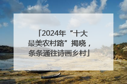 2024年“十大最美农村路”揭晓，条条通往诗画乡村