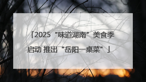 2025“味道湖南”美食季启动 推出“岳阳一桌菜”