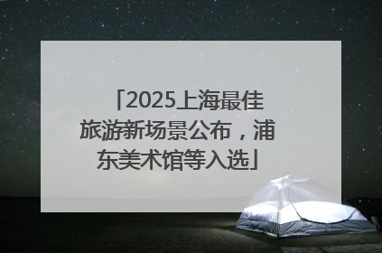 2025上海最佳旅游新场景公布，浦东美术馆等入选
