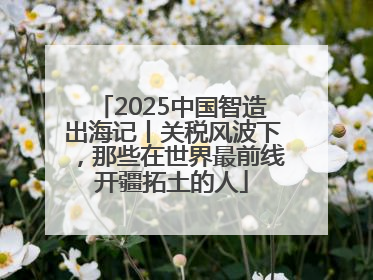 2025中国智造出海记丨关税风波下，那些在世界最前线开疆拓土的人