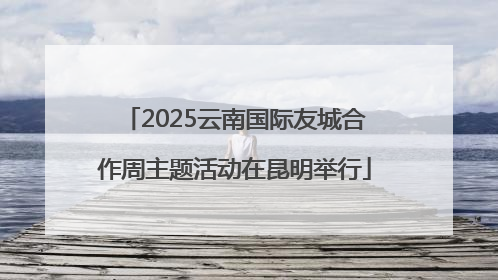 2025云南国际友城合作周主题活动在昆明举行