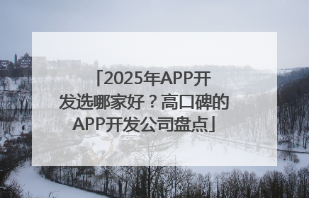 2025年APP开发选哪家好？高口碑的APP开发公司盘点