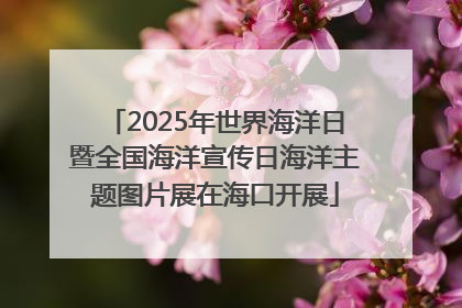 2025年世界海洋日暨全国海洋宣传日海洋主题图片展在海口开展