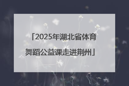 2025年湖北省体育舞蹈公益课走进荆州