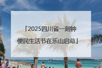 2025四川省一刻钟便民生活节在乐山启幕