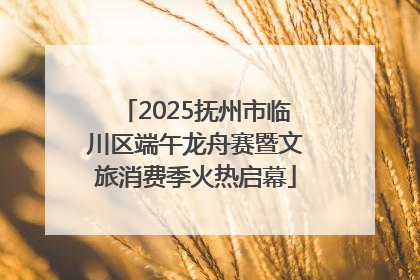2025抚州市临川区端午龙舟赛暨文旅消费季火热启幕
