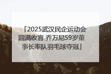 2025武汉民企运动会圆满收官 乔万尼59岁董事长率队羽毛球夺冠