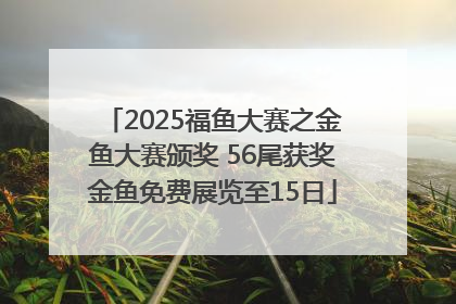 2025福鱼大赛之金鱼大赛颁奖 56尾获奖金鱼免费展览至15日