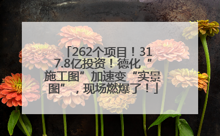 262个项目！317.8亿投资！德化“施工图”加速变“实景图”，现场燃爆了！