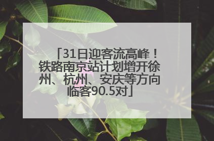 31日迎客流高峰！铁路南京站计划增开徐州、杭州、安庆等方向临客90.5对