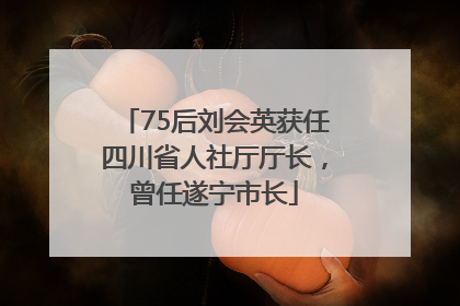75后刘会英获任四川省人社厅厅长，曾任遂宁市长