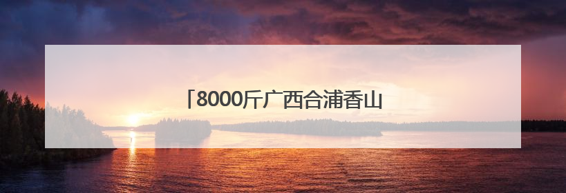 8000斤广西合浦香山鸡嘴荔枝赠西安市民品鉴