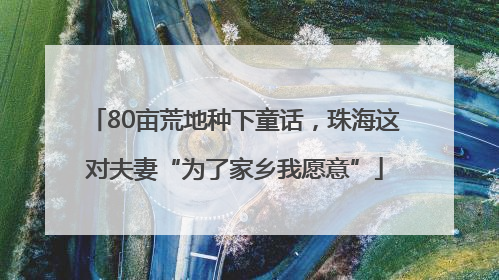 80亩荒地种下童话，珠海这对夫妻“为了家乡我愿意”