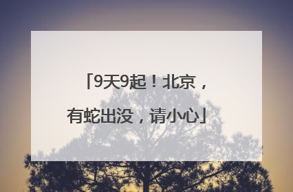 9天9起！北京，有蛇出没，请小心