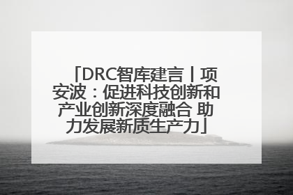DRC智库建言丨项安波：促进科技创新和产业创新深度融合 助力发展新质生产力