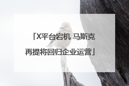 X平台宕机 马斯克再提将回归企业运营
